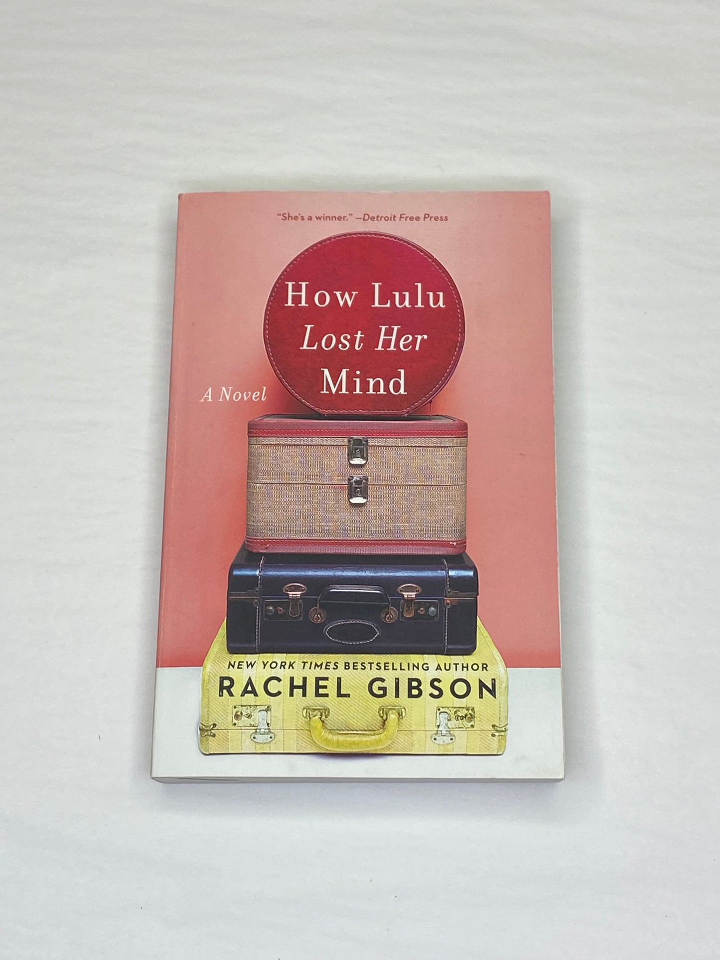 How Lulu Lost Her Mind Book