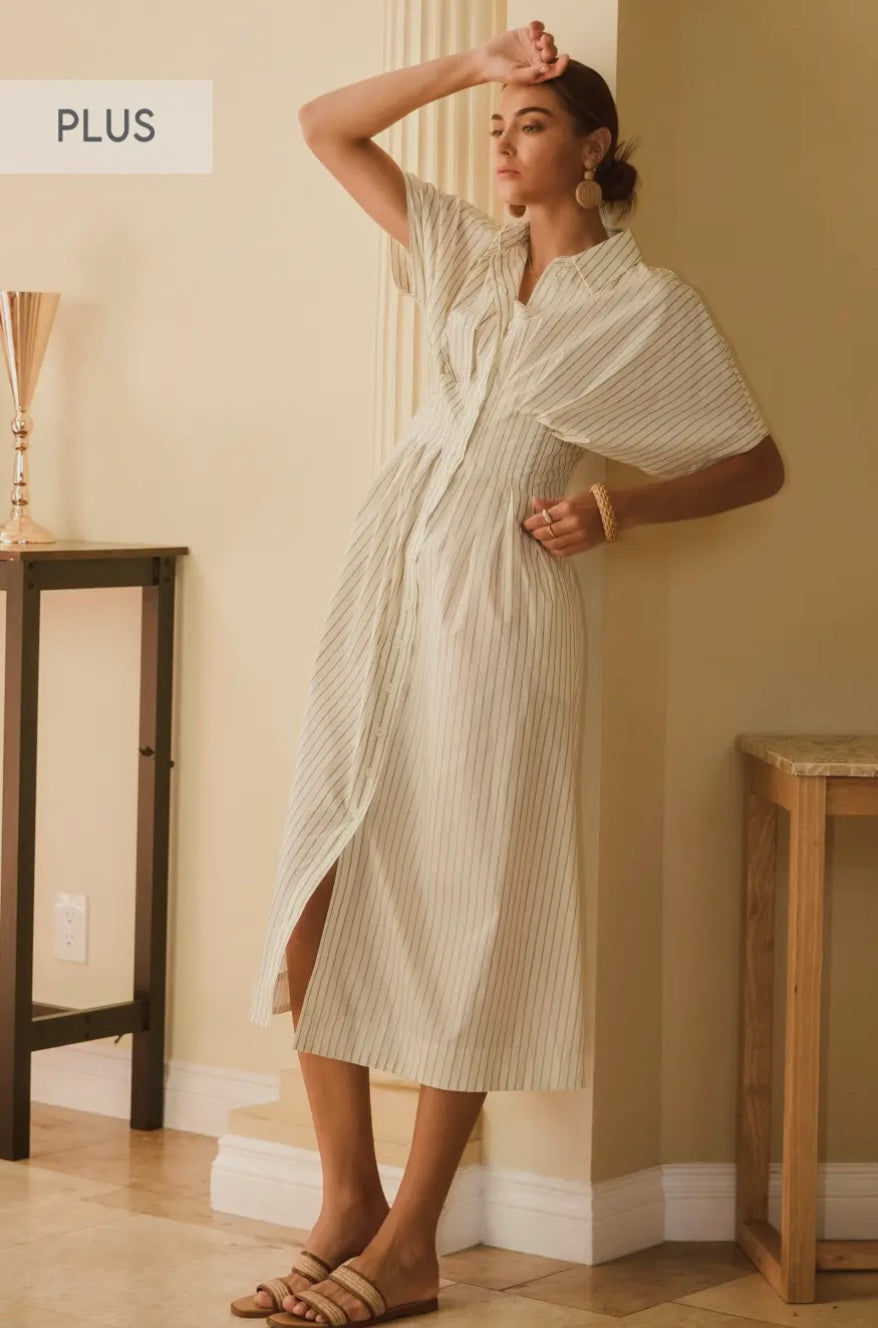 Elena Plus Dress