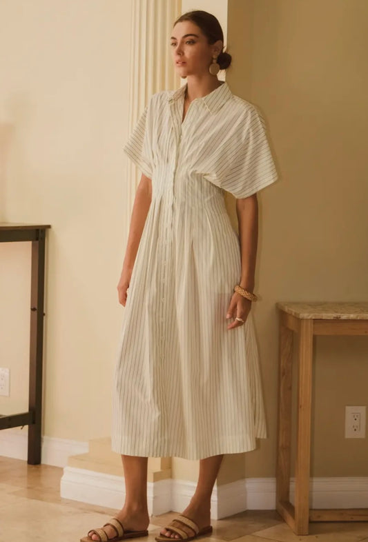 Elena Plus Dress